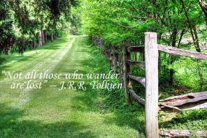 wandering_down_mount_vernon_path