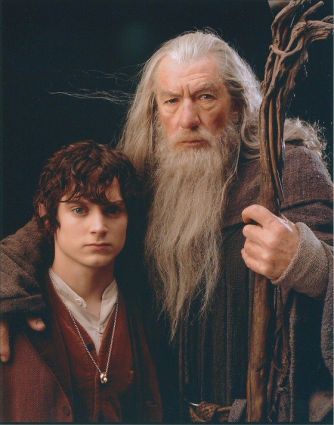 2f6db7a6350a42b7029111ef4d80727e--lord-of-the-rings-the-lord