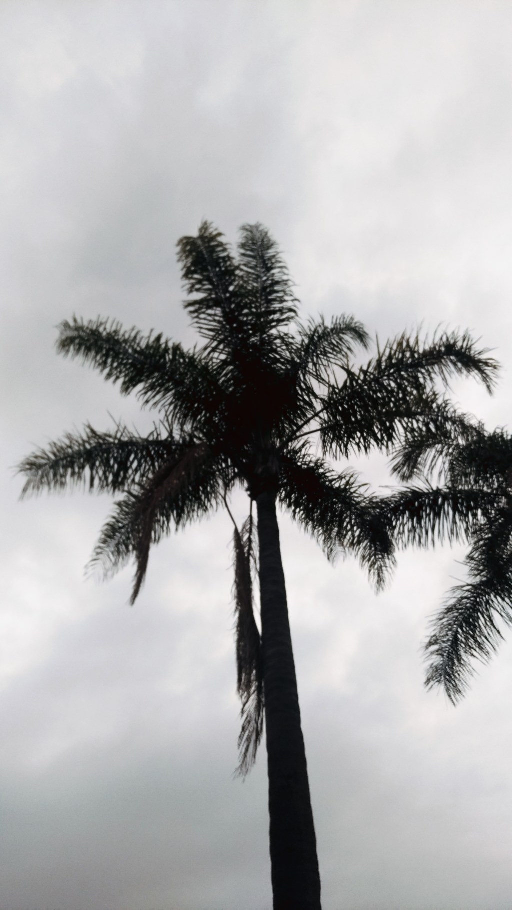 Relaxation exercise: A conversation with&nbsp;Jesus