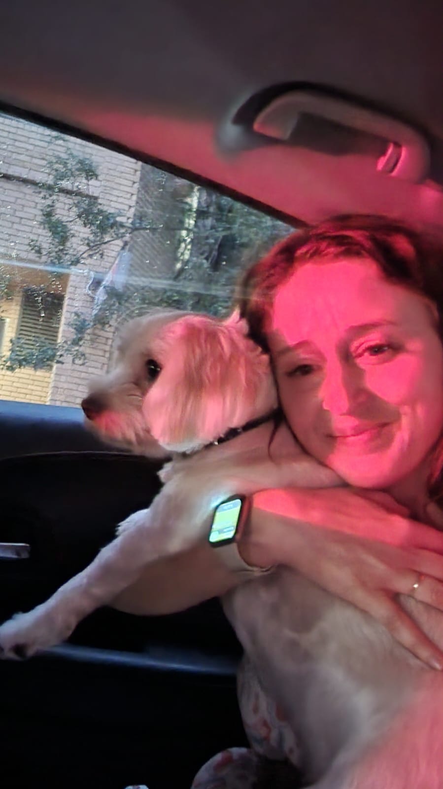 Sandy, the Uber&nbsp;Healer